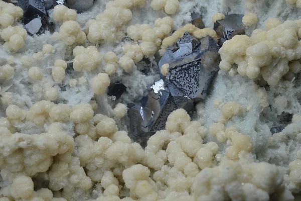 Twinned and truncated Galena on Quartz and Siderite