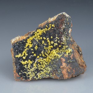 Campylite