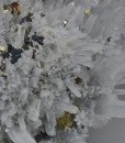Galena, Quartz, Pyrite, Chalcopyrite