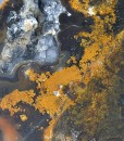 Agate