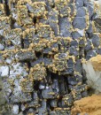 Skeletal Galena, Chalcopyrite, Quartz, Dolomite, Calcite