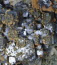 Skeletal Galena, Chalcopyrite, Quartz, Dolomite, Calcite