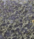 Quartz var.Amethyst, Pyrite