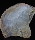Moss Agate