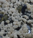 Two generations Calcite, Galena, Chalcopyrite, Sphalerite