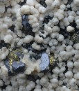 Two generations Calcite, Galena, Chalcopyrite, Sphalerite
