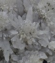 Quartz