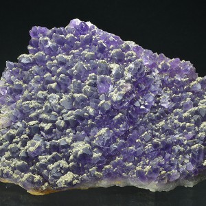 Quartz var.Amethyst, Pyrite