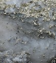 Baryte, Pyrite