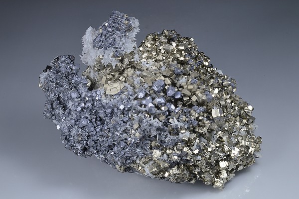 Galena on Pyrite, Quartz