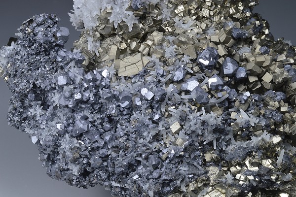Galena on Pyrite, Quartz
