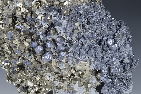 Galena on Pyrite, Quartz