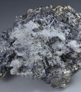 Galena on Pyrite, Quartz