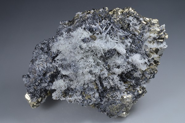 Galena on Pyrite, Quartz
