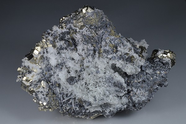Galena on Pyrite, Quartz