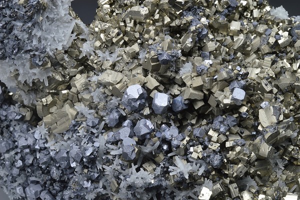 Galena on Pyrite, Quartz