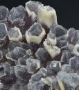 Quartz var.Amethyst