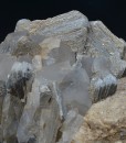 Muscovite, Feldspar, Quartz