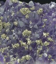 Quartz var.Amethyst, Chalcopyrite