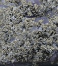 Quartz var.Amethyst, Chalcopyrite, Pyrite