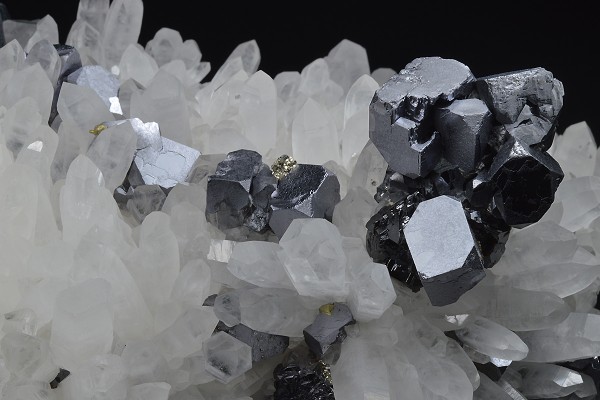 Quartz, Galena, Chalcopyrite, Sphalerite, Pyrite