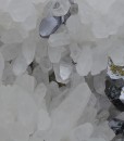 Quartz, Galena, Chalcopyrite, Sphalerite, Pyrite