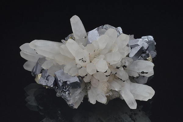 Quartz, Galena, Pyrite, Chalcopyrite, Siderite