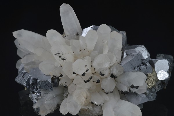 Quartz, Galena, Pyrite, Chalcopyrite, Siderite