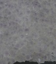Quartz var.Amethyst