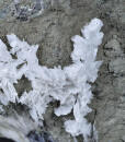 two generations Calcite, Quartz