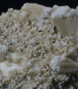 two generations Calcite