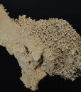 Calcite set on Quartz