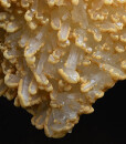 Calcite set on Quartz