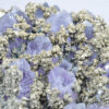 Quartz var.Amethyst, Chalcopyrite, Pyrite