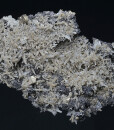 Pyrite, Quartz, Sphalerite, Chlorite - floater