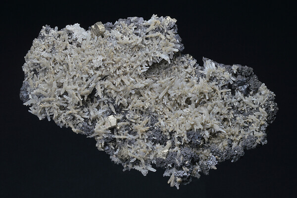 Pyrite, Quartz, Sphalerite, Chlorite - floater