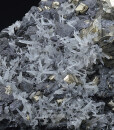 Pyrite, Quartz, Sphalerite, Chlorite - floater