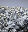 Pyrite, Chalcopyrite, Quartz, Sphalerite - floater