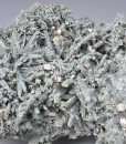 Pyrite, Quartz, Chlorite - floater