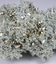 Pyrite, Quartz, Chlorite - floater