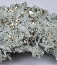 Pyrite, Quartz, Chlorite - floater