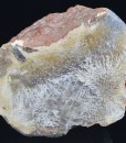 Sagenite Agate