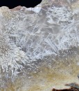 Sagenite Agate