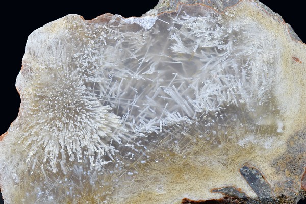 Sagenite Agate