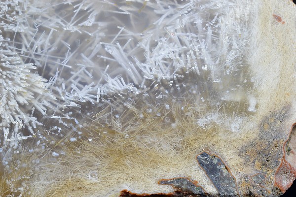 Sagenite Agate