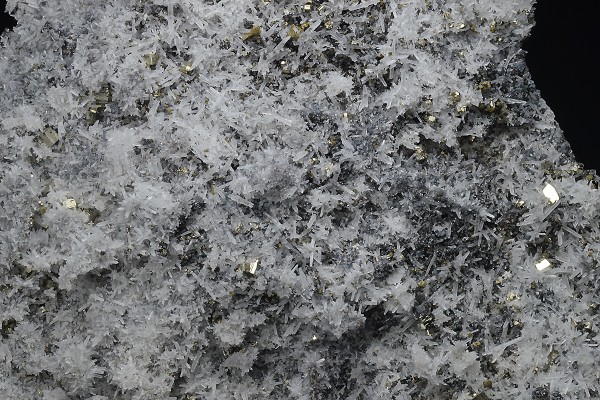 Pyrite, Chalcopyrite, Quartz, Sphalerite - floater